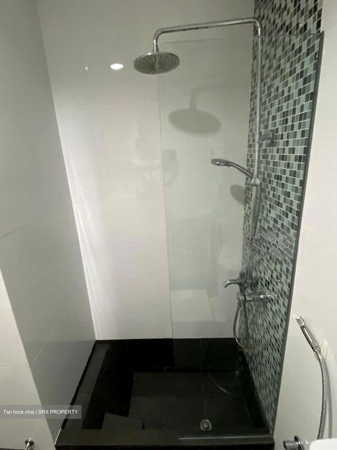 Opal Suites (D12), Apartment #635560711